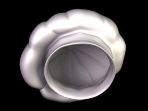 chef hat Modello 3D
