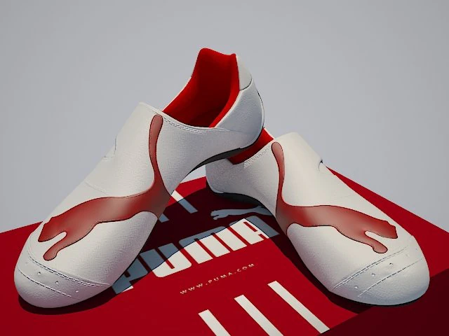 puma shoes 3D Model .c4d .max .obj .3ds .fbx .stl .blend 
