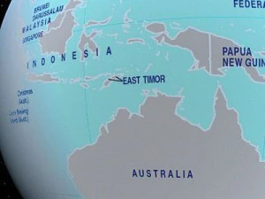 political earth 3D Model