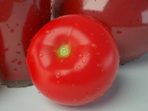 tomatoes and tomato juice 3D Model