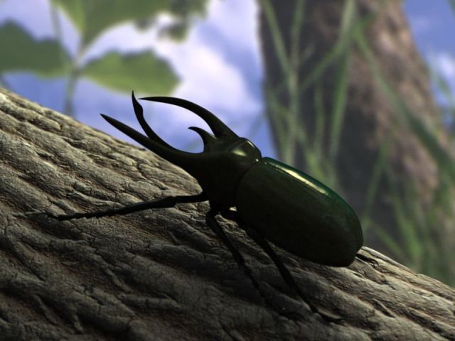 chalcosoma atlas celebes Modèle 3D .c4d .max .obj .3ds .fbx .stl .blend 
