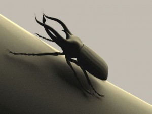 chalcosoma atlas celebes Modèle 3D