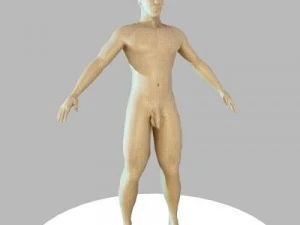 max 3D Model