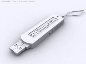 flaskdiskkingston 3D-Modell