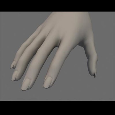 women hand 3D Модель .c4d .max .obj .3ds .fbx .stl .blend 