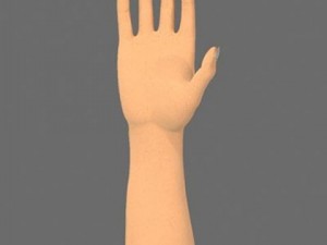 women hand 3D Модель