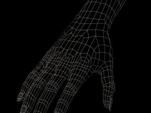 women hand 3D Модель