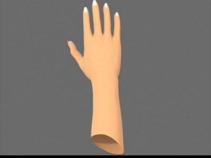women hand 3D Модель