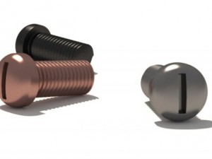 screw slotted 3D Model
