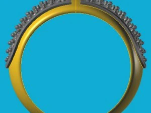 ring 2 3D Model