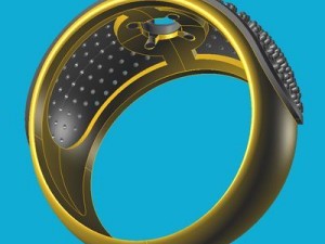 ring 2 3D मॉडल