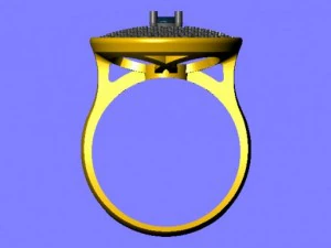 ring round 3D Model