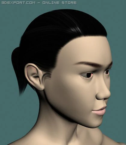 jan 3D Model .c4d .max .obj .3ds .fbx .stl .blend
