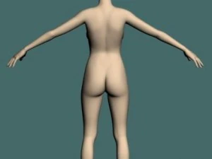 jan 3D Model