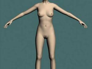 jan 3D Model
