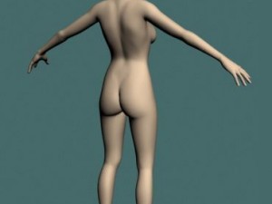 jan 3Dモデル