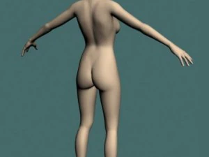jan 3D Model