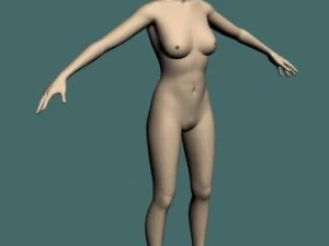 jan 3D Model