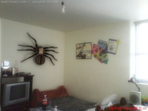 spider with fur 3D-Modell