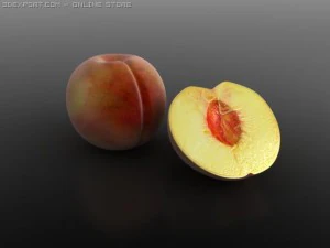 복숭아 3D 모델
