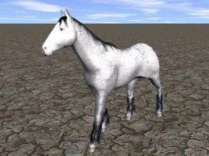 hourse 3D Model