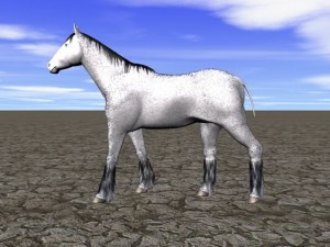 hourse 3Dモデル