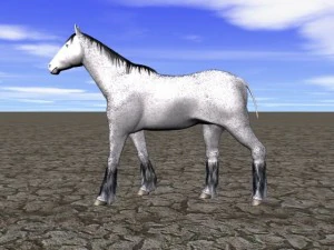 hourse 3D Model