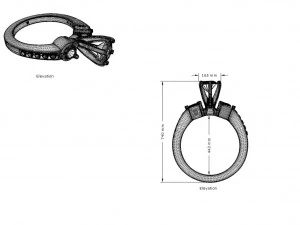 Diamantring 3D Druckmodell