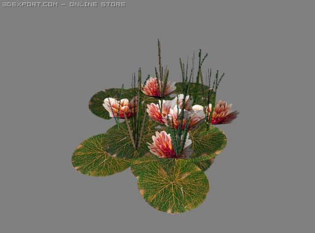 patch of lilly pads 3D Model .c4d .max .obj .3ds .fbx .stl .blend 