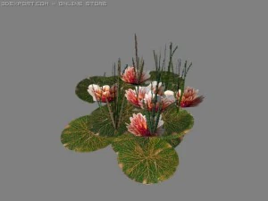 スイレンの葉のパッチ 3Dモデル