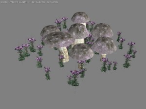 purple aminitas Modèle 3D