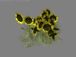 ay&ccedil;i&ccedil;eği yaması 3D Model