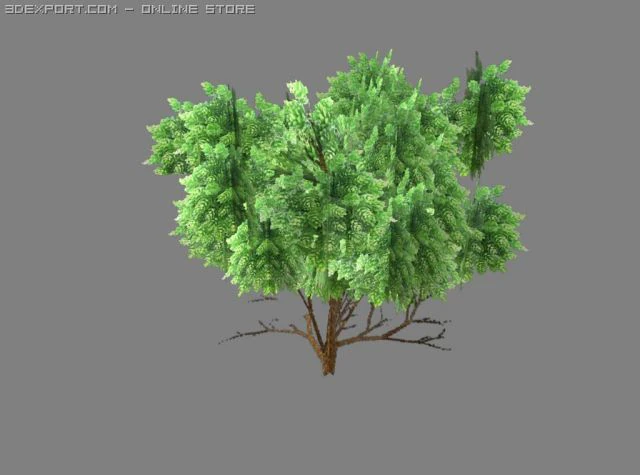 bush1 3D Model .c4d .max .obj .3ds .fbx .stl .blend 