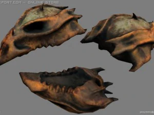 alien bird skull 3D Model