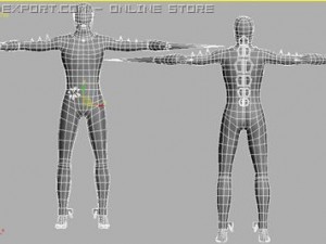 face of 3D Model