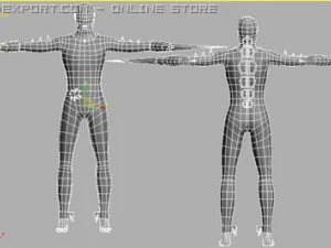 face of 3D Model