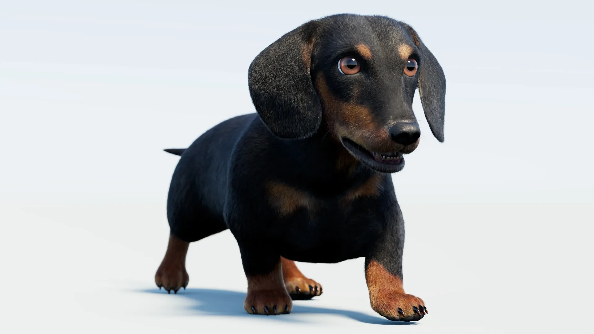 Animated Black Dachshund Dog Fur 3D Model .c4d .max .obj .3ds .fbx .stl .blend