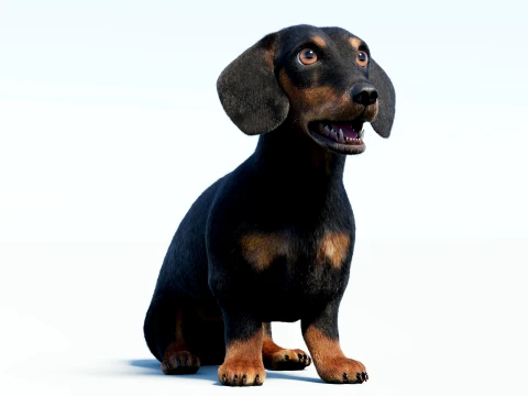 Animated Black Dachshund Dog Fur 3D Model
