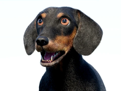 Animated Black Dachshund Dog Fur 3D Model