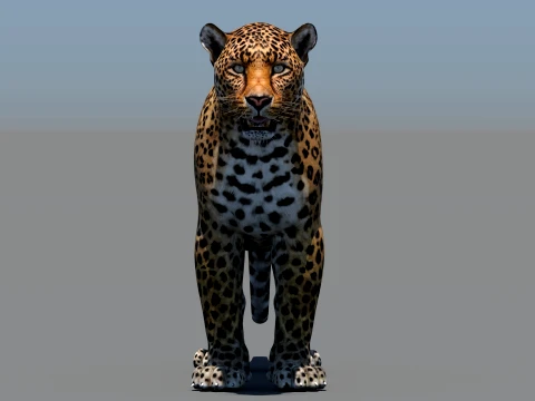 Leopard 3D Model