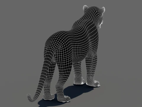 Leopard 3D Model
