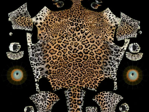 Leopard 3D Model