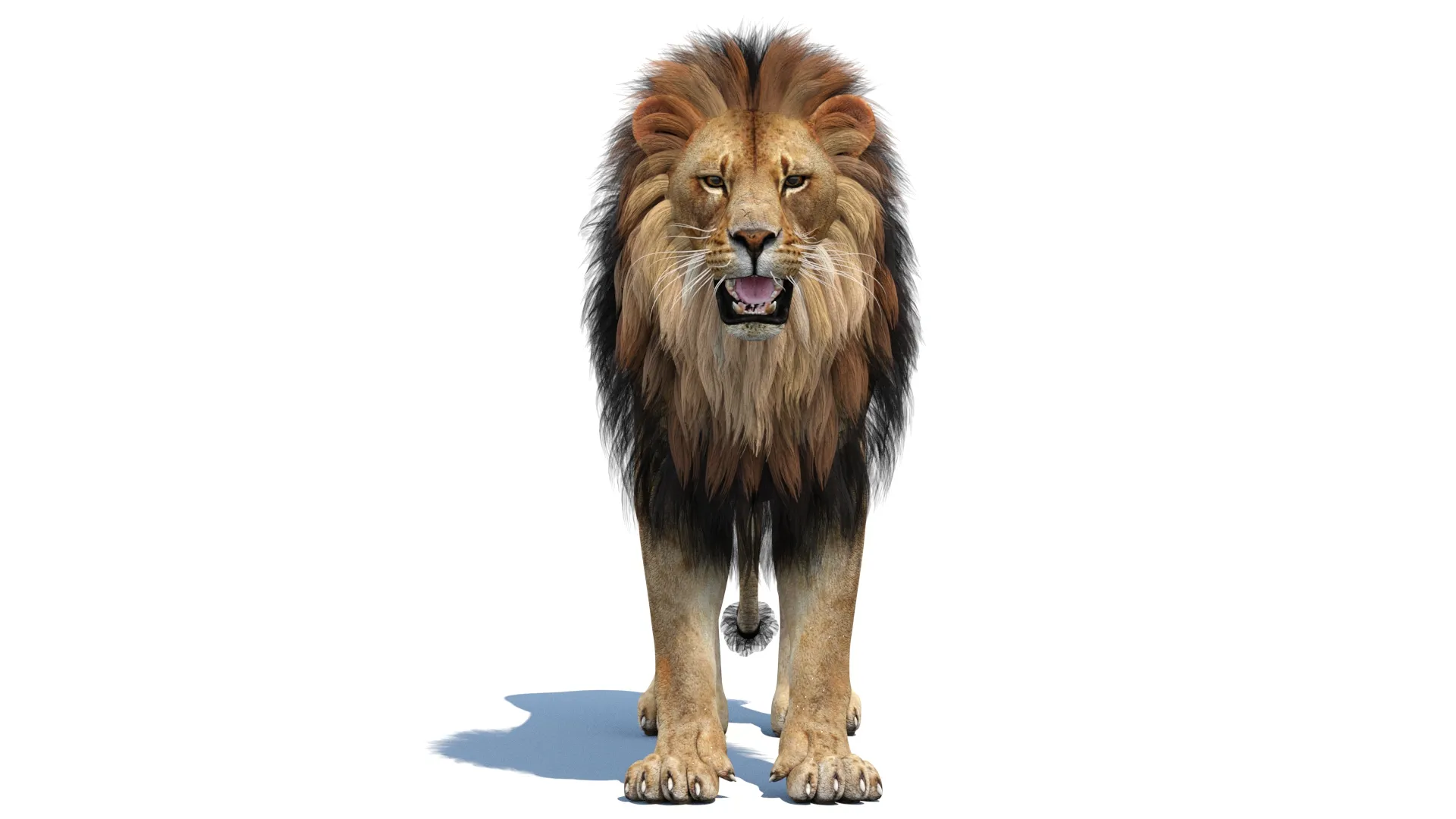Lion 3D Model .c4d .max .obj .3ds .fbx .stl .blend 