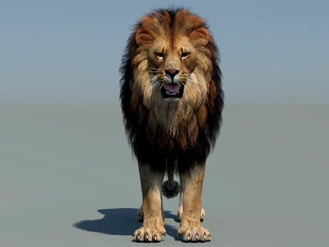 Lion 3D Model