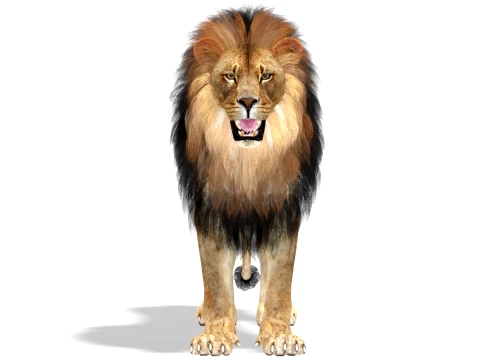 Lion 3D Model
