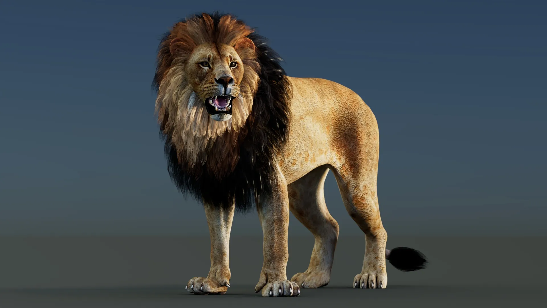 Lion Rigged 3D Model .c4d .max .obj .3ds .fbx .stl .blend 