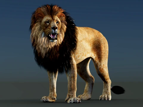 Lion Rigged 3D Model