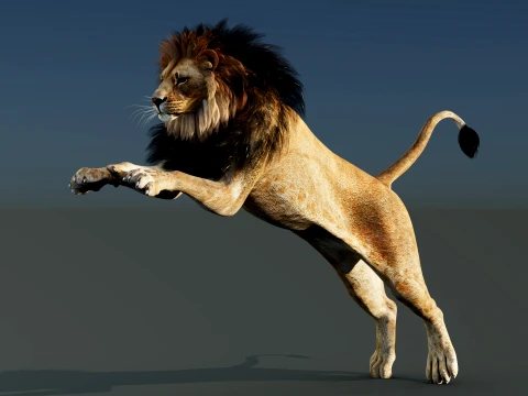 Lion Rigged 3D Model