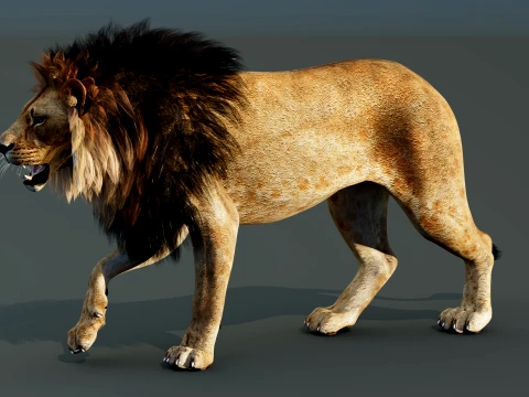 Lion Rigged 3D Model