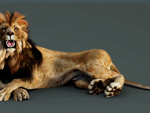 Lion Rigged 3D Model